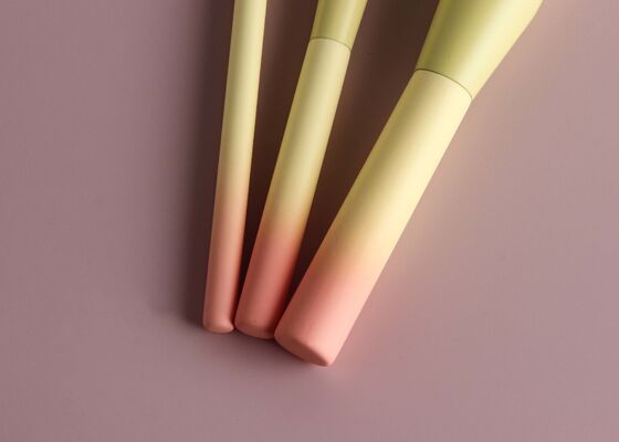 ভনিরা বিউটি লাক্সারি প্রিসিশন হাইলাইটার ব্রাশ উইথ গ্রেডিয়েন্ট কালার কাঠের হাতল